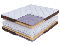 LIFE Latex S600 mini