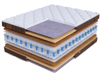 LIFE Prestige Plus DS