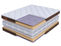 LIFE Latex Double S2400