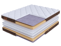 LIFE Latex Double S600 mini