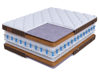 LIFE Cocos Double DS