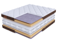 LIFE Latex Double S600