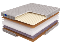 Roll SPRING Cocos Light S1200