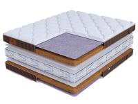 LIFE Cocos Double S2400