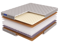 Roll SPRING Cocos Light S600