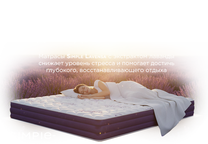 Simple Новинки 2