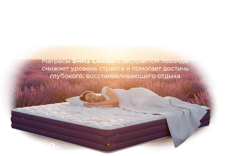 Simple Новинки 2