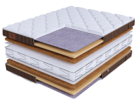 LIFE Prestige Plus S600