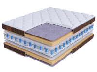 LIFE Latex Double DS