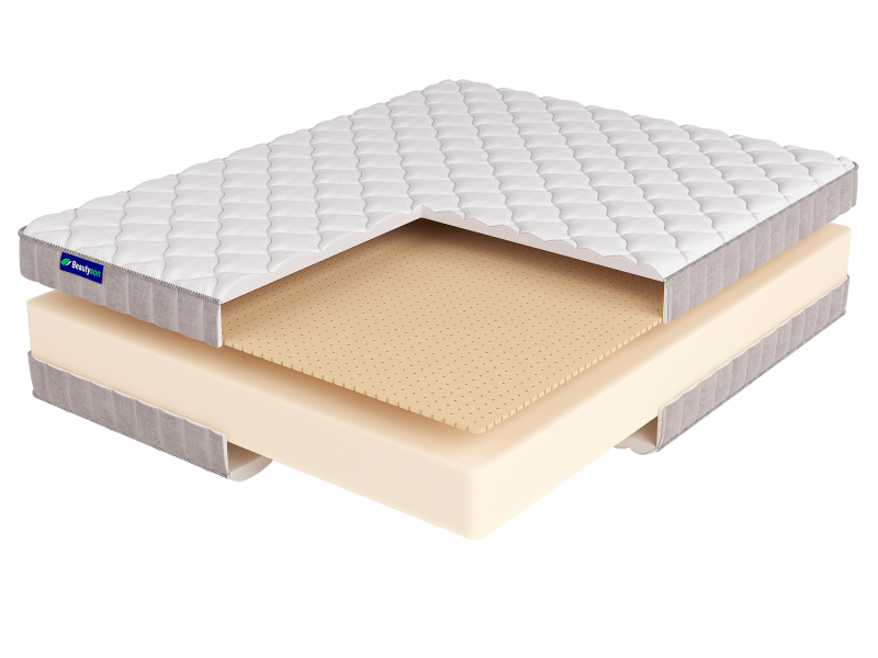 roll foam 18 latex lux купить в магазине Beautyson