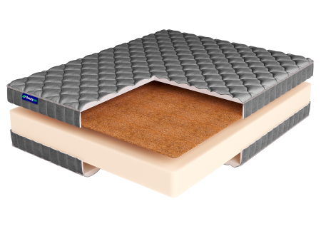 ROLL FOAM 18 Cocos LUX