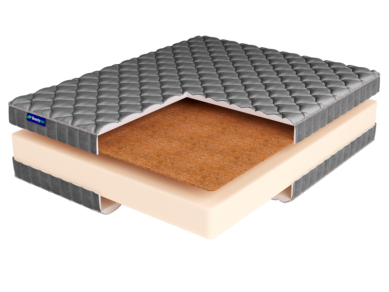 roll foam 21 cocos lux купить в магазине Beautyson