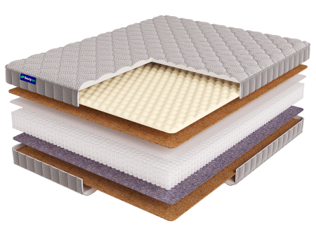 Roll SPRING Cocos Light S1200