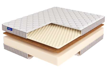 ROLL FOAM 21 Cocos Sens LUX