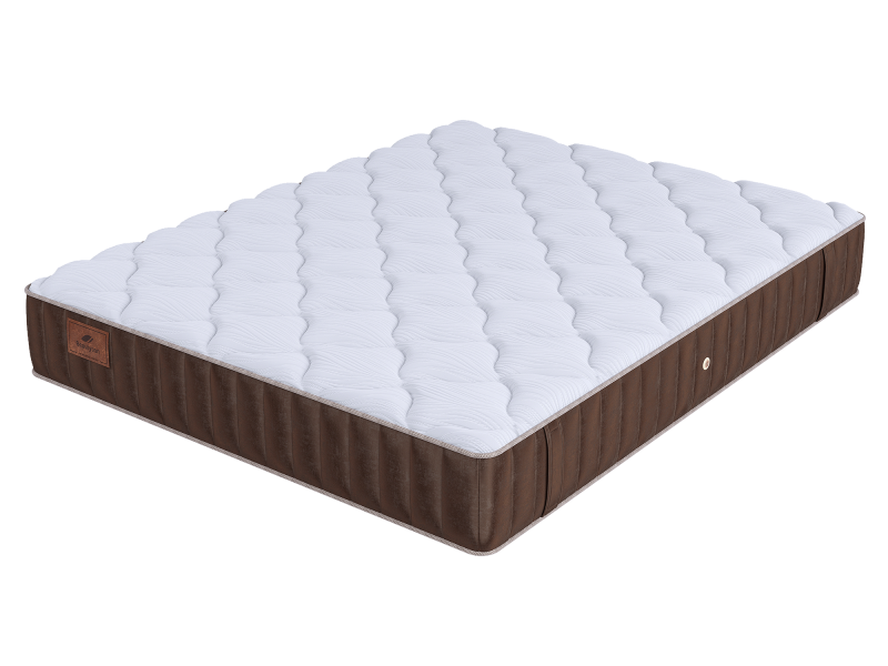 LIFE Latex Double S2400